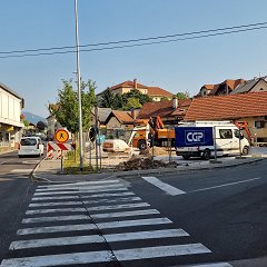 Ajdovo_zrno_12.7.2024.jpg